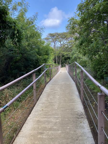 Footpath Construction in Columbia