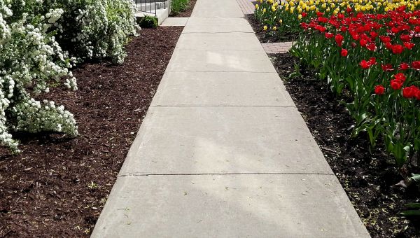 Cement Sidewalk Installation in Columbia