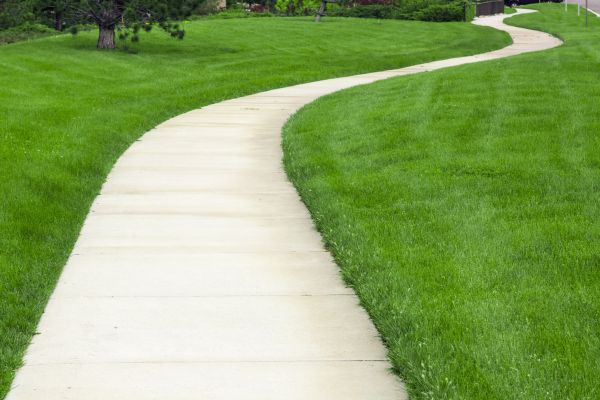 Cost of Sidewalk Paving in Columbia