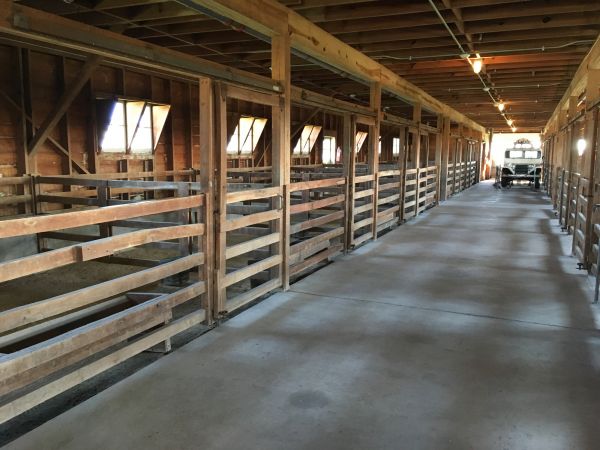 Barn Floor Pouring in Columbia