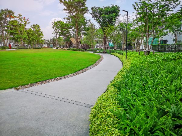 Cement Walkway Service in Columbia