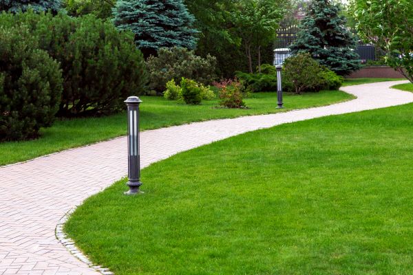Backyard Sidewalk Installation in Columbia