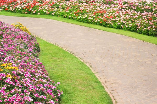 Concrete Walkway Service in Columbia