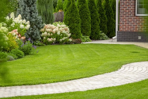 Landscape Walkway Installation in Columbia